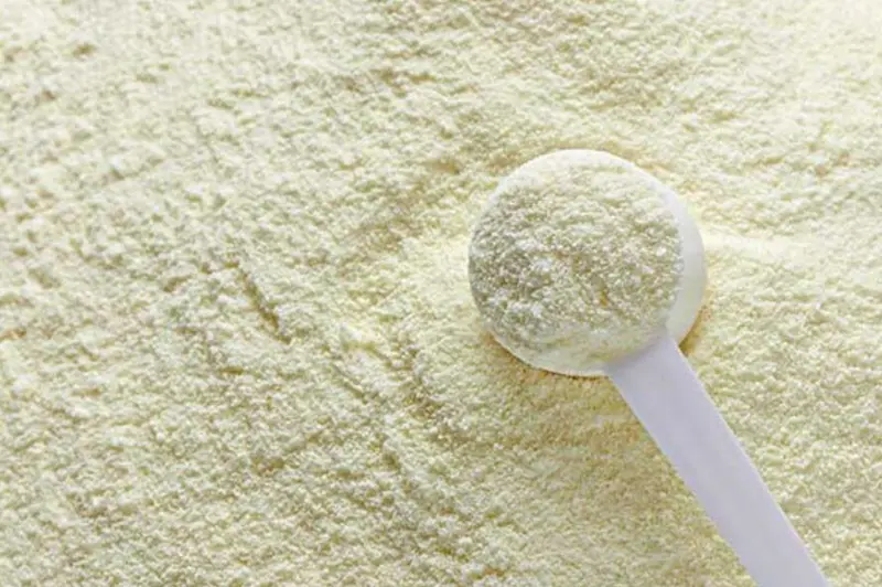 Dairy Powder 