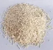 CAT LITTER