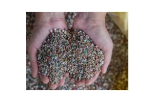 NPK fertilizer 